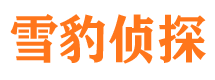 卧龙市侦探公司